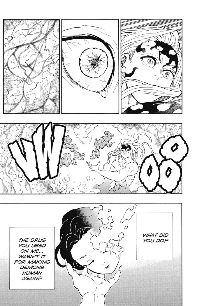 Demon Slayer Chapter 193 image 14_optimized